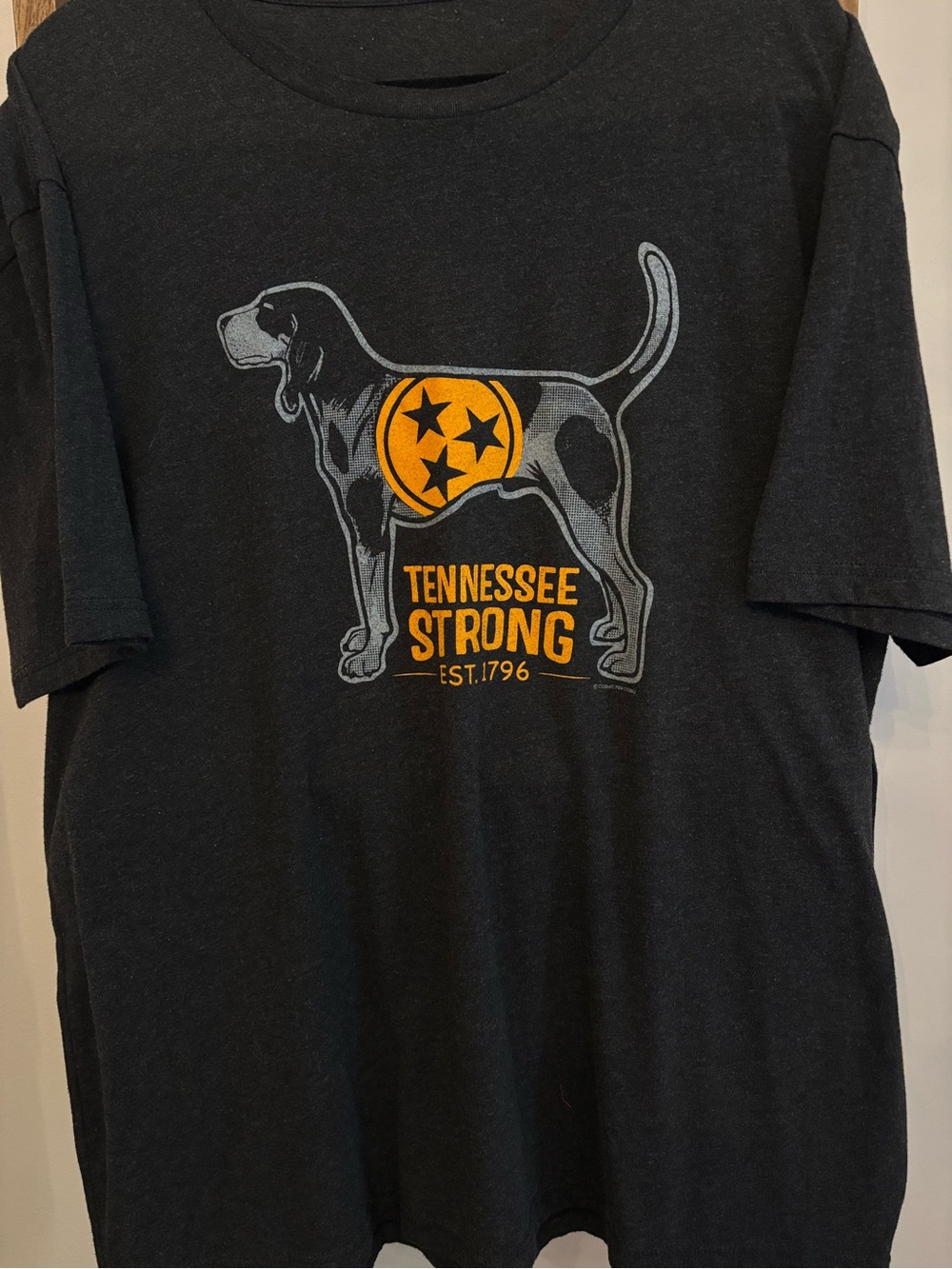 Tennessee Strong Graphic T-Shirt. Show your Vols Spirit